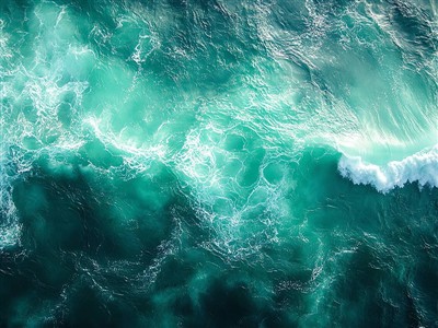 Svjetski dan okeana Haili u akciji